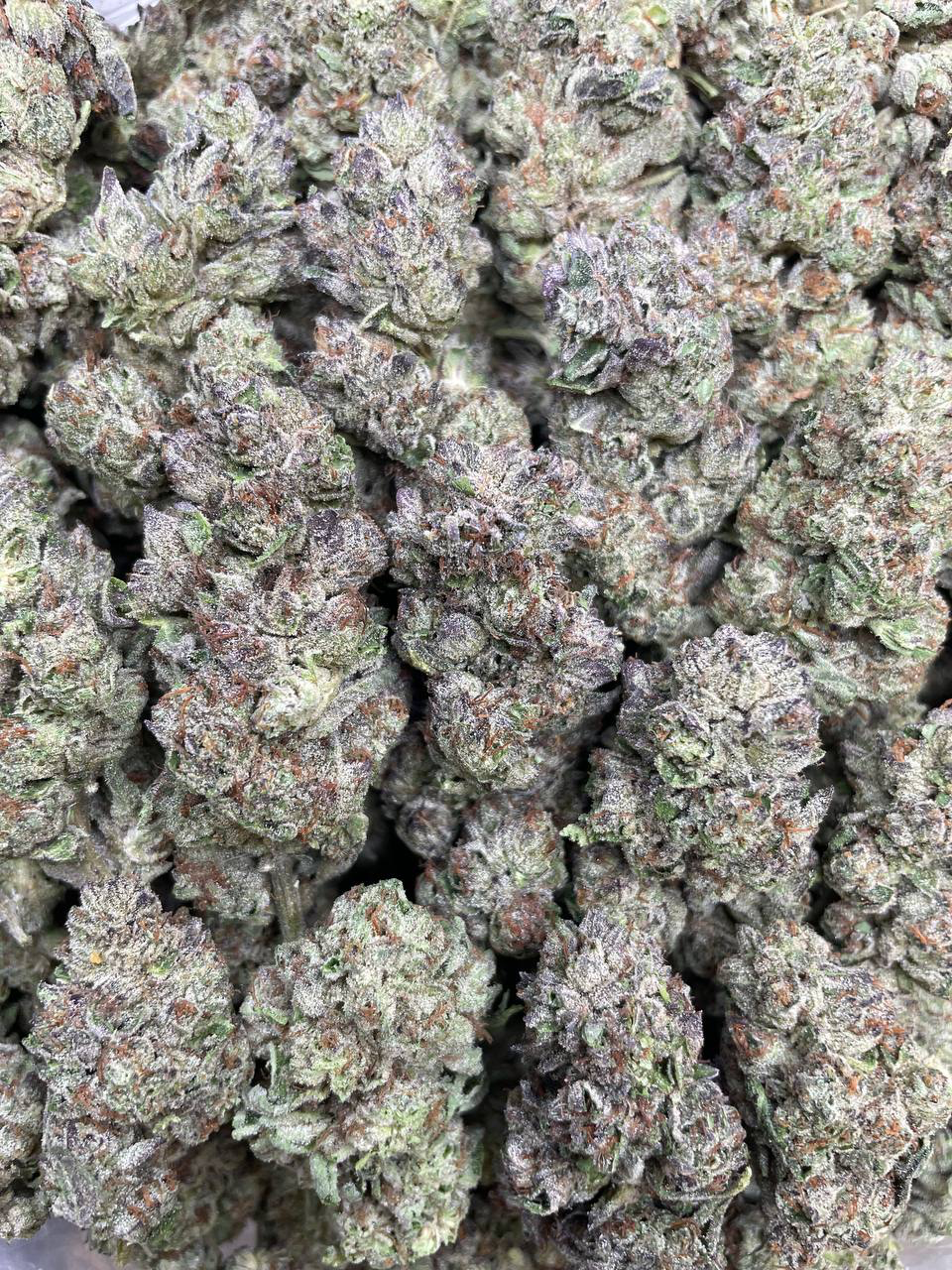 Blueberry Cruffin strain